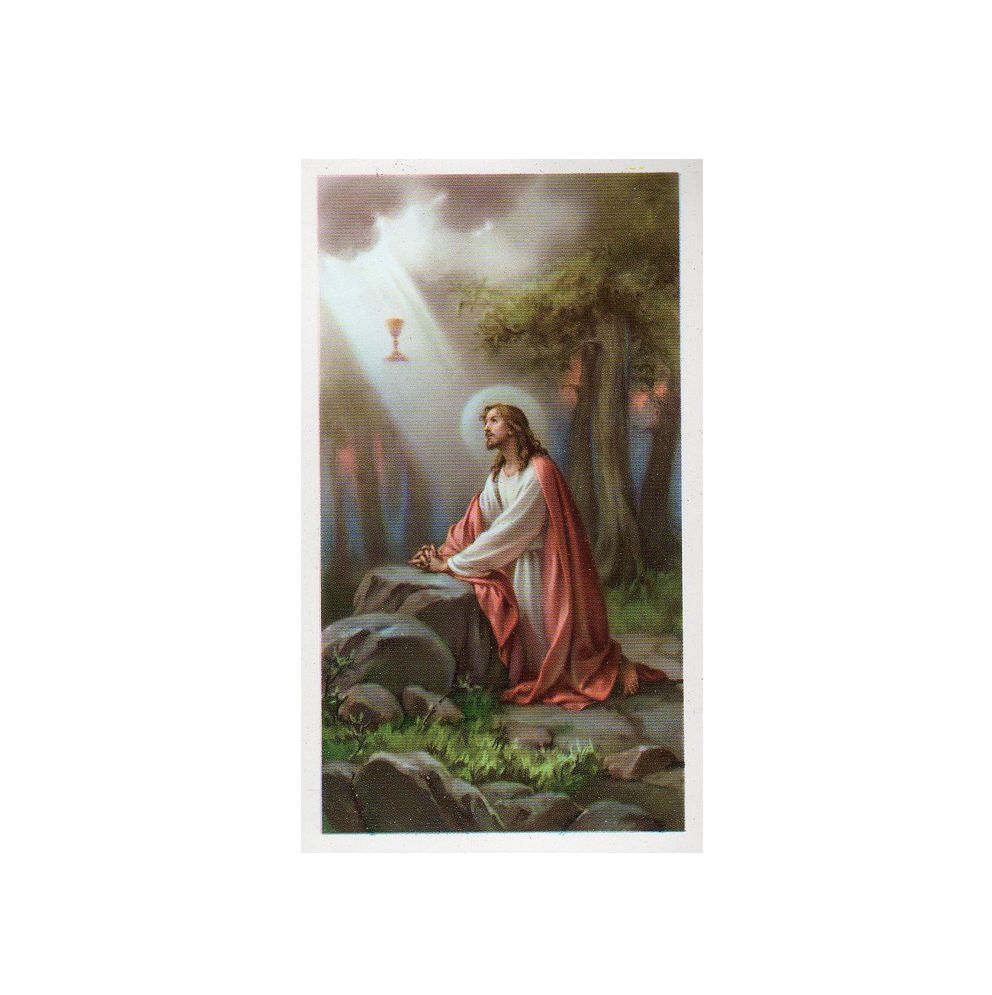 Image - Jésus au jardin de Gethsémani